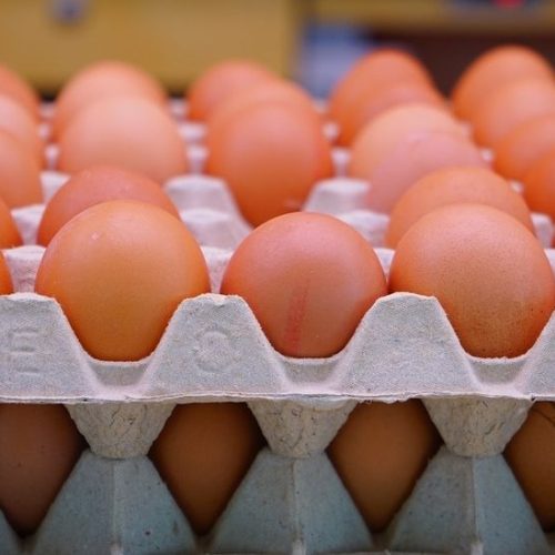 سعر "الطبقة" تجاوز الـ(6000) دينار.. العراق يتخذ إجراءات عاجلة لإيقاف المضاربة بأسعار بيض المائدة