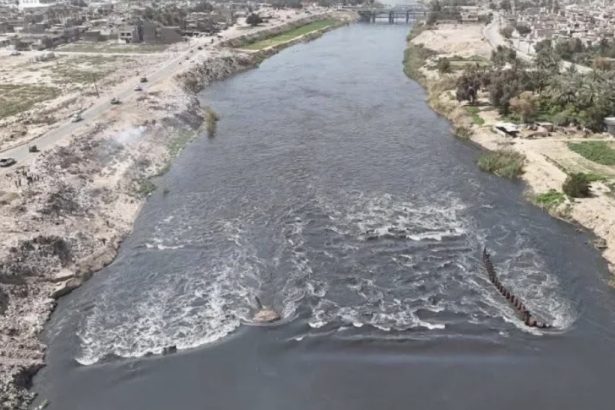 البيئة تعلن نتائج التحاليل: لا وجود لتلوث خطير في نهر دجلة