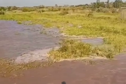 غرق البساتين نتيجة ارتفاع منسوب نهر ديالى