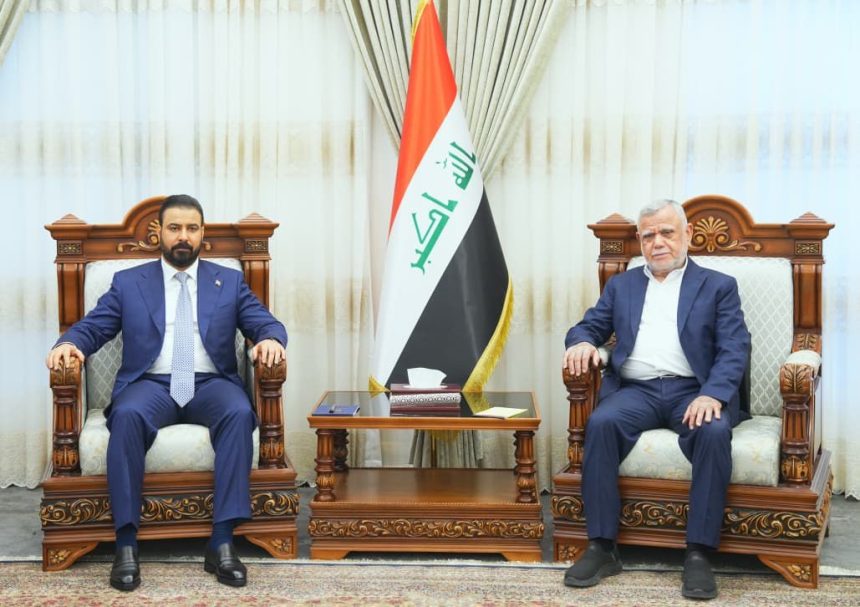 الزيدي والعامري يؤكدان على أهمية تعزيز العمل لتشكيل حكومة وطنية