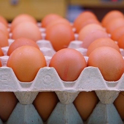 التجارة تحدد سعر بيع بيض المائدة بـ6 آلاف دينار للطبقة