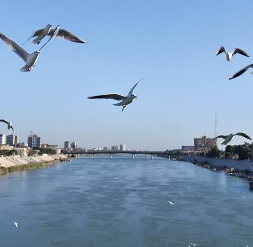 الأنواء الجوية: ارتفاع جديد في درجات الحرارة خلال الايام المقبلة