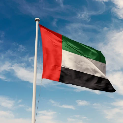 الإمارات ترحّب بقرار المنظمة البحرية الدولية الداعم لسلامة الملاحة في الخليج
