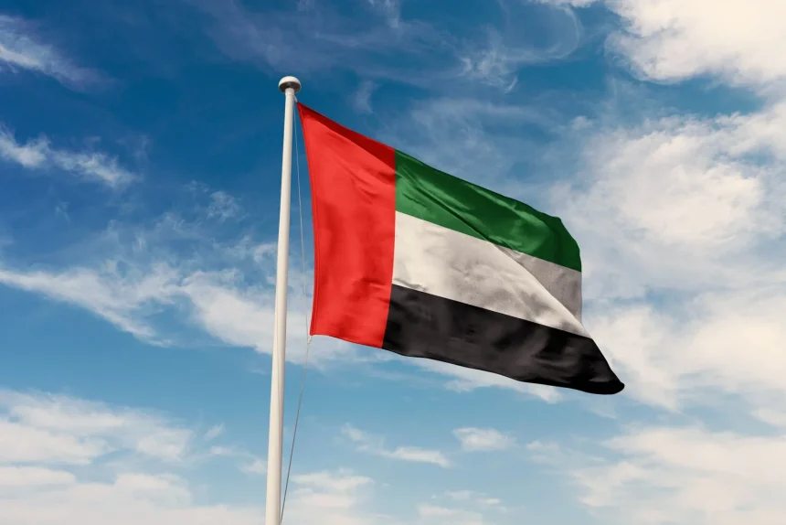 الإمارات ترحّب بقرار المنظمة البحرية الدولية الداعم لسلامة الملاحة في الخليج