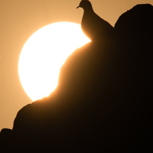 طقس العراق