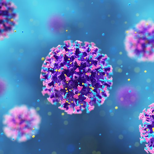 فيروس هانتا.. ارتفاع الإصابات إلى 13 بعد تسجيل حالة جديدة