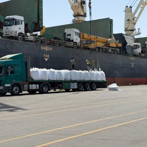 موانئ العراق تستقبل أول سفينة صينية بعد استئناف الملاحة في مضيق هرمز