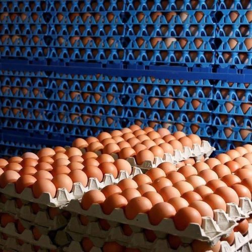 في سلسلة عمليات.. الأمن الوطني يُحكم قبضته على شبكات تهريب بعدة محافظات
