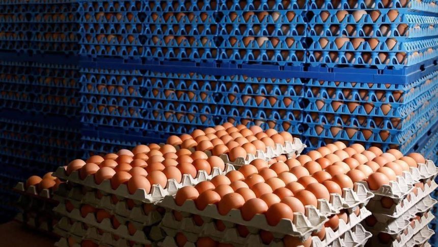 في سلسلة عمليات.. الأمن الوطني يُحكم قبضته على شبكات تهريب بعدة محافظات