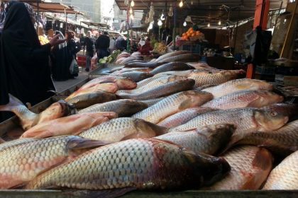 الأمم المتحدة: العراقي يستهلك 3 كيلوغرامات فقط من الأسماك سنوياً