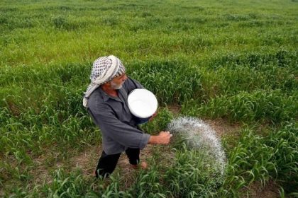 الزراعة: رفع مساحات الخطة الصيفية لمليون و800 ألف دونم