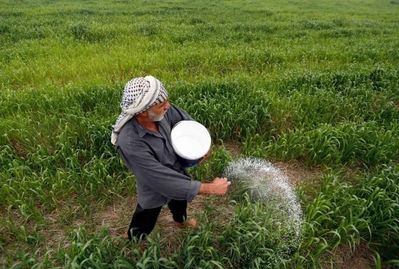 الزراعة: رفع مساحات الخطة الصيفية لمليون و800 ألف دونم