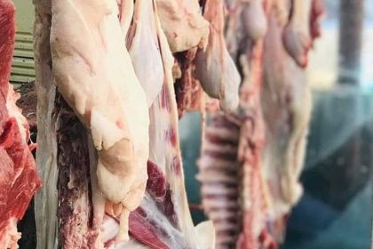 الزراعة تتوقع استقرار أسعار اللحوم والدجاج وبيض المائدة خلال الأشهر المقبلة