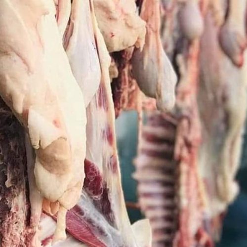 الزراعة تتوقع استقرار أسعار اللحوم والدجاج وبيض المائدة خلال الأشهر المقبلة