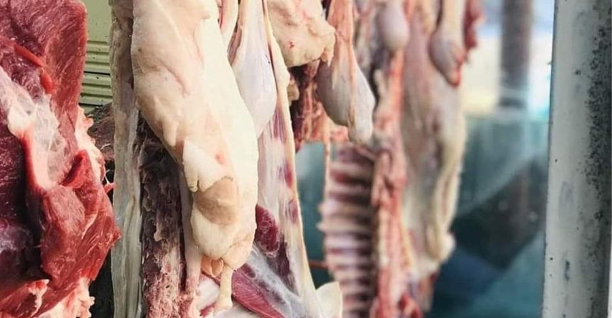 الزراعة تتوقع استقرار أسعار اللحوم والدجاج وبيض المائدة خلال الأشهر المقبلة