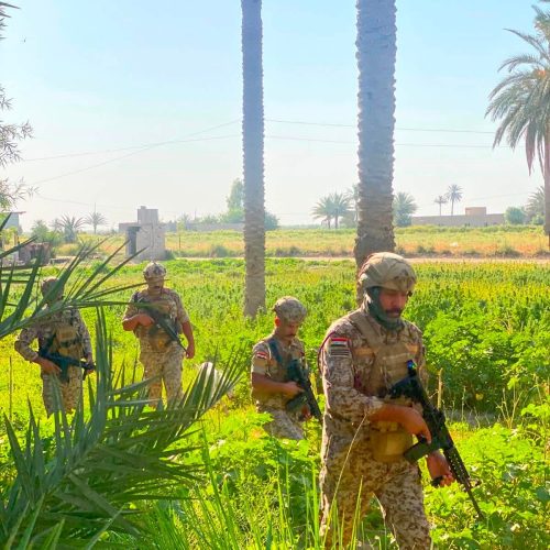 عمليات بغداد تزيل مواقع للذبح العشوائي وتضبط كميات من اللحوم غير صالحة للاستهلاك