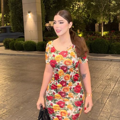 لجنة المحتوى الهابط تتخذ الإجراءات القانونية بحق الملقبة (نارو)