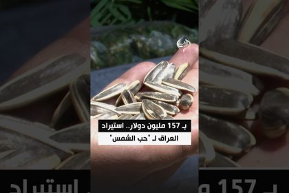 بـ 157 مليون دولار.. استيراد العراق لـ "حب الشمس"