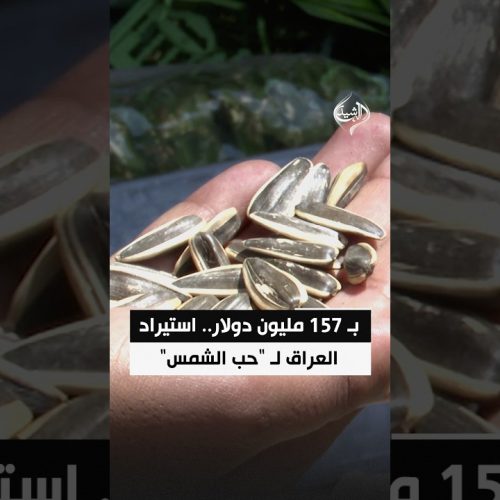 بـ 157 مليون دولار.. استيراد العراق لـ "حب الشمس"