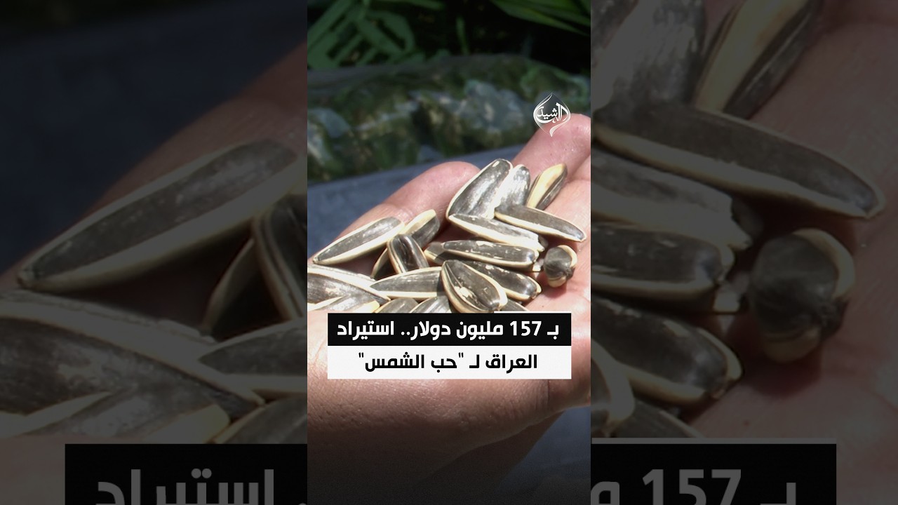 بـ 157 مليون دولار.. استيراد العراق لـ "حب الشمس"