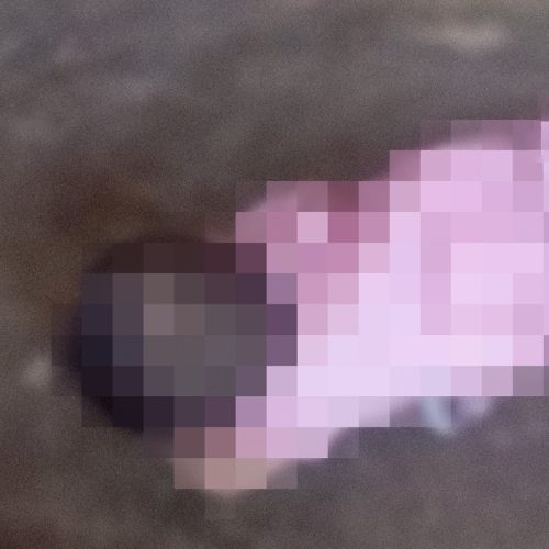 الداخلية بشأن فيديو تعنيف طفلة: الحادثة لم تقع داخل العراق وإنما بإحدى دول الجوار