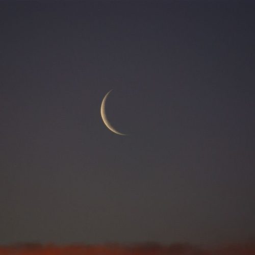 الوقف السني: غدًا الجمعة غرة شهر ربيع الأول