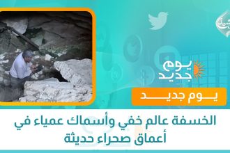 ‏الخسفة عالم خفي وأسماك عمياء في أعماق صحراء حديثة