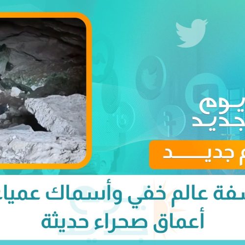 ‏الخسفة عالم خفي وأسماك عمياء في أعماق صحراء حديثة