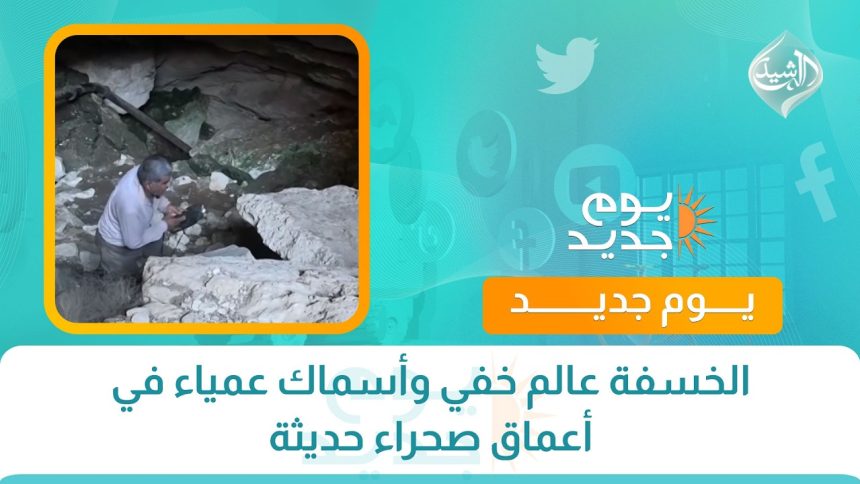 ‏الخسفة عالم خفي وأسماك عمياء في أعماق صحراء حديثة